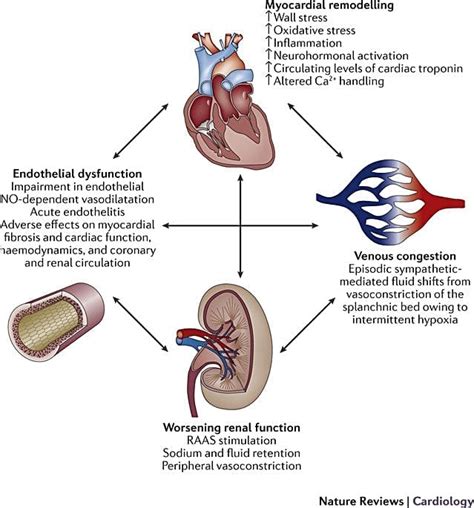 systolic heart failure ejection.